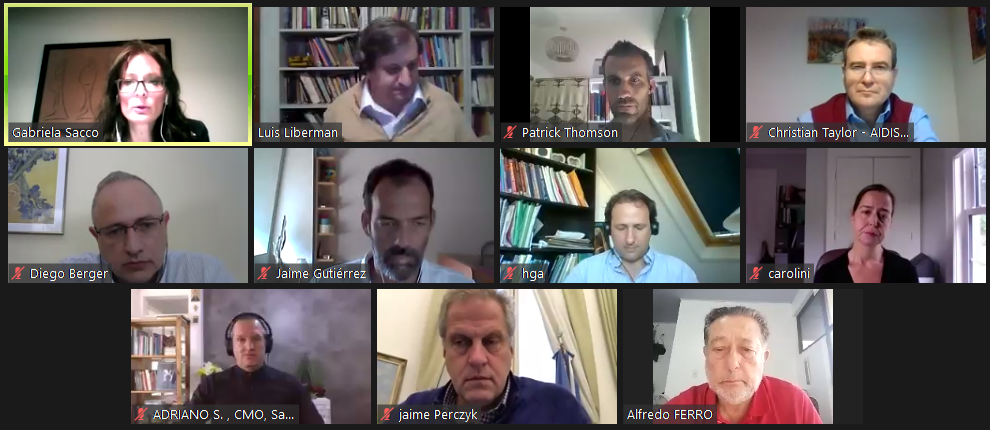 Participantes del webinar